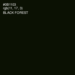 #0B1103 - Black Forest Color Image